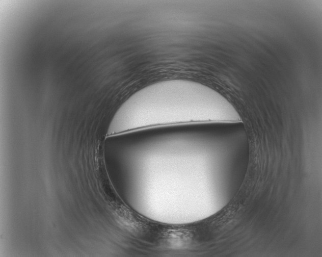 X0000059830275200510211029