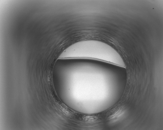 X0000059830277200510211030