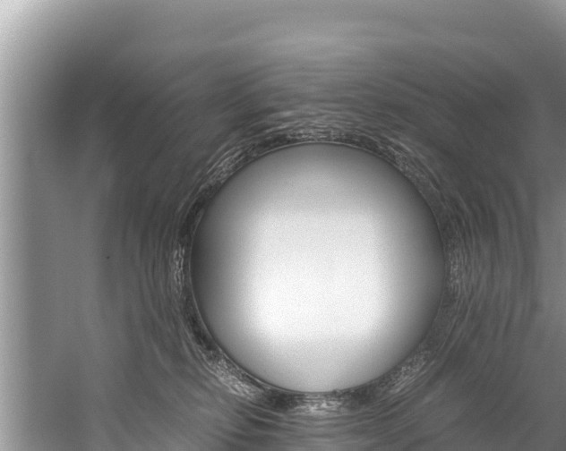 X0000059830278200510211030