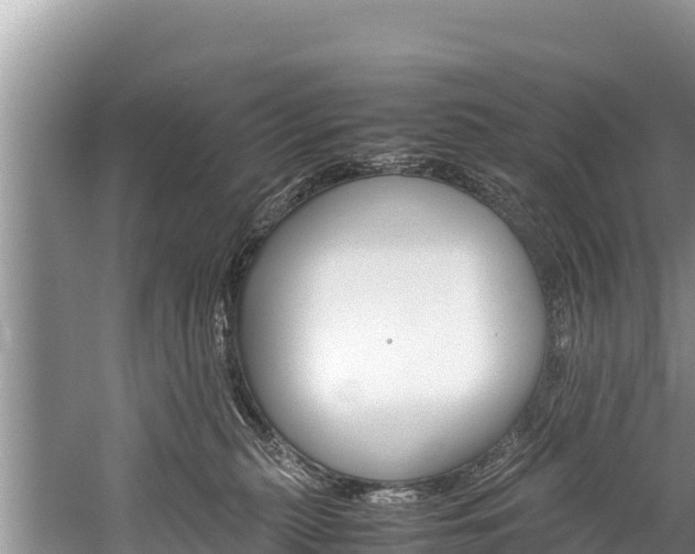 X0000059830279200510211030