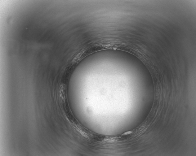 X0000059830280200510211030