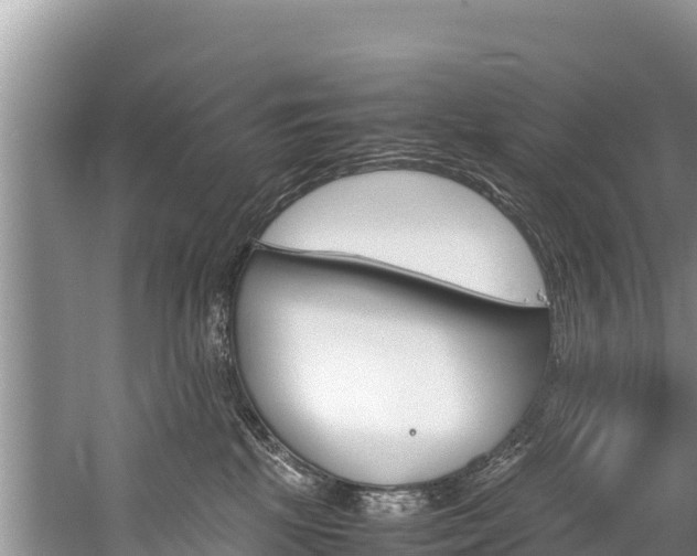 X0000059830281200510211030