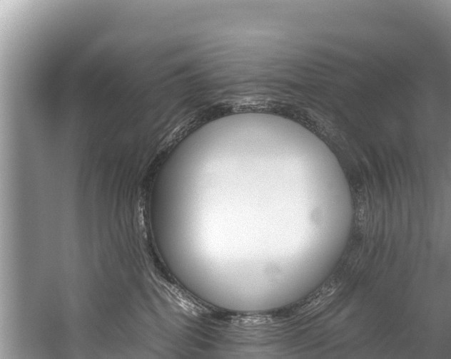 X0000059830282200510211030