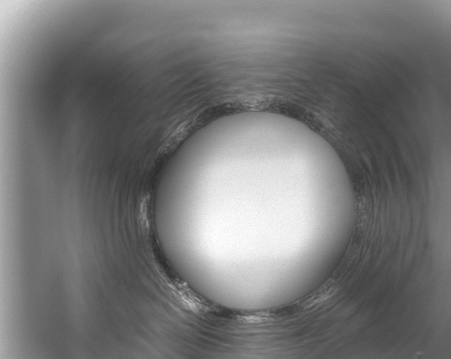 X0000059830286200510211030