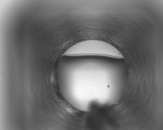 X0000059830287200510211030