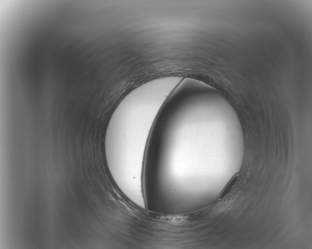 X0000059830288200510211030