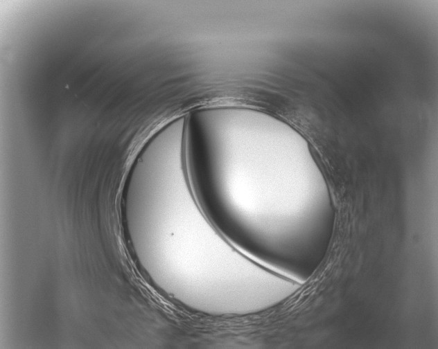 X0000059830289200510211029