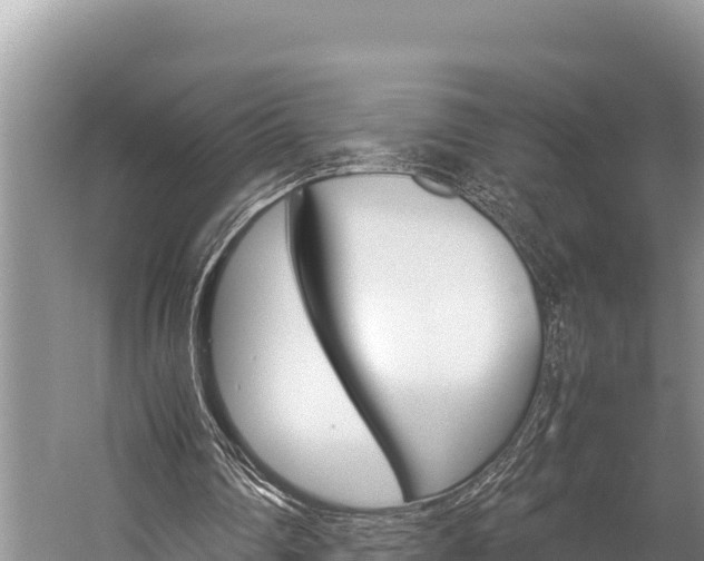 X0000059830290200510211029