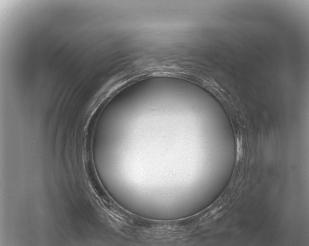 X0000059830291200510211029