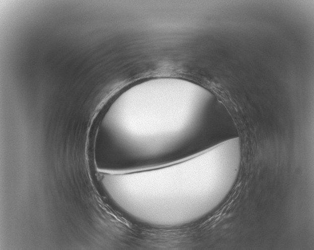 X0000059830292200510211029