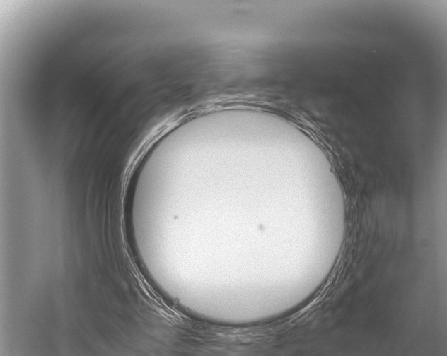 X0000059830293200510211029