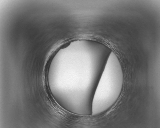 X0000059830294200510211029