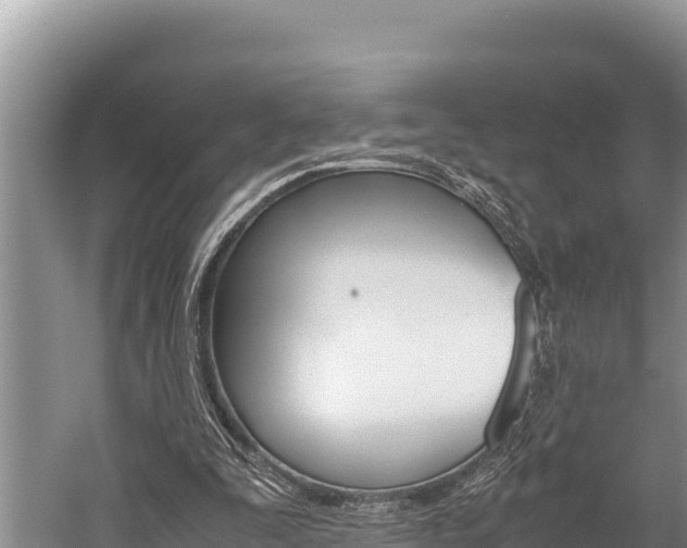 X0000059830295200510211029