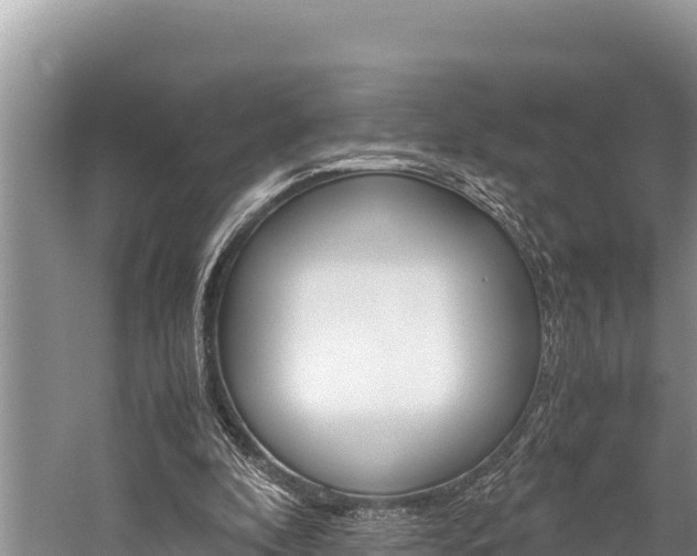 X0000059830296200510211029