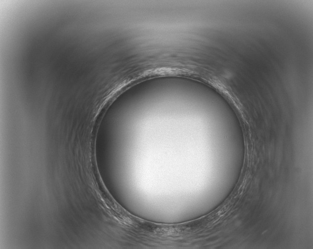 X0000059830297200510211029