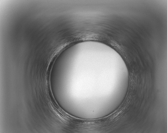 X0000059830298200510211029