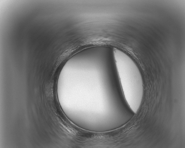 X0000059830299200510211029