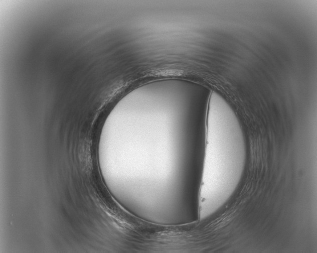 X0000059830300200510211029