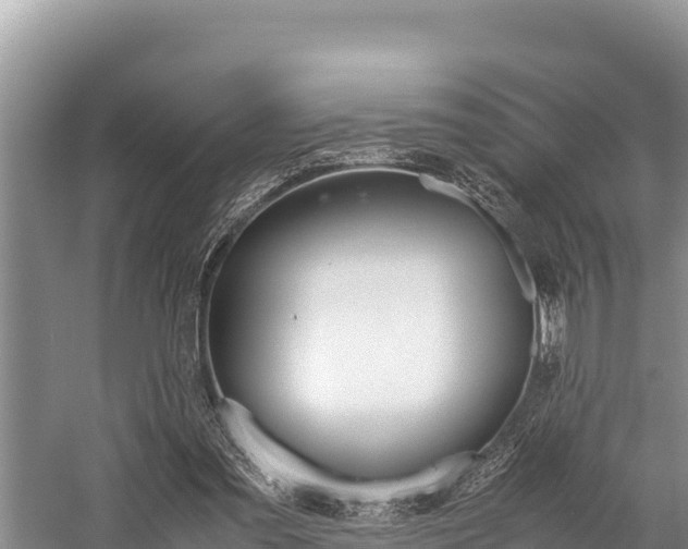 X0000059830301200510211029