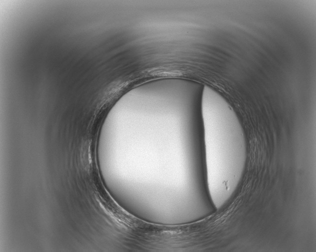 X0000059830302200510211029