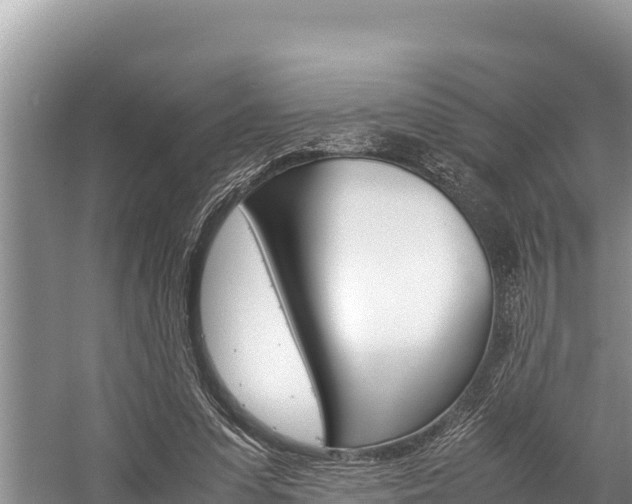 X0000059830303200510211029