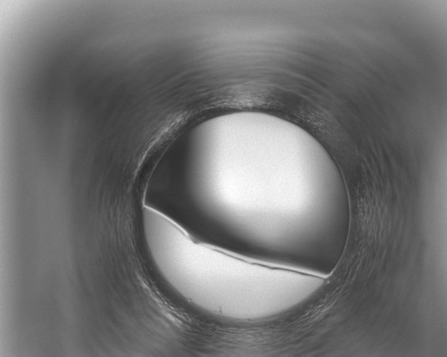 X0000059830304200510211029