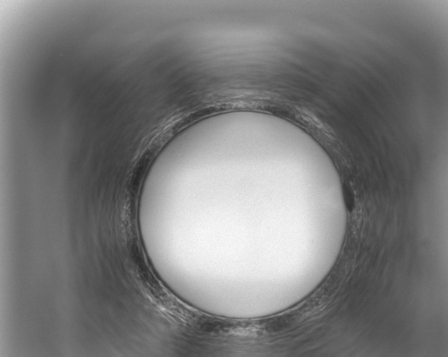 X0000059830306200510211029