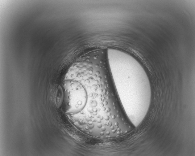 X0000059830307200510211029