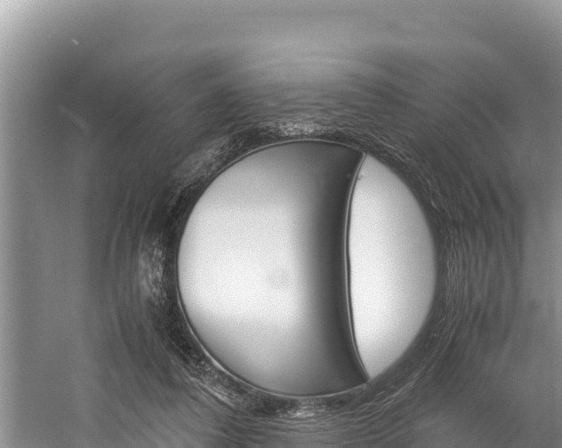 X0000059830308200510211029