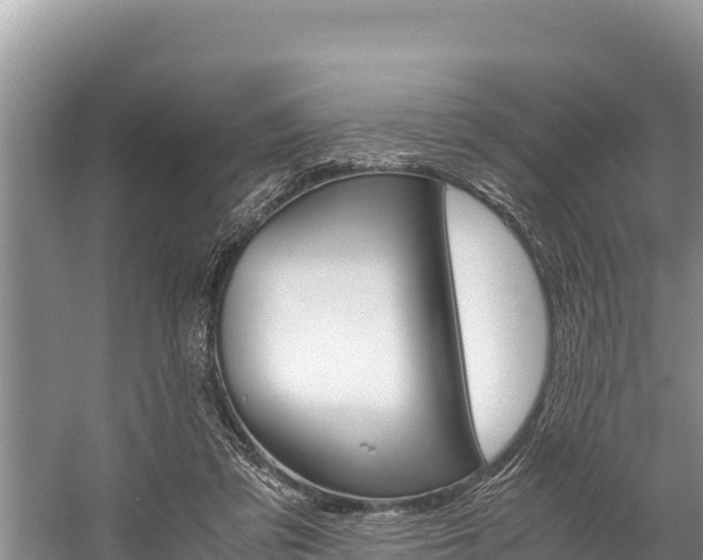 X0000059830309200510211029