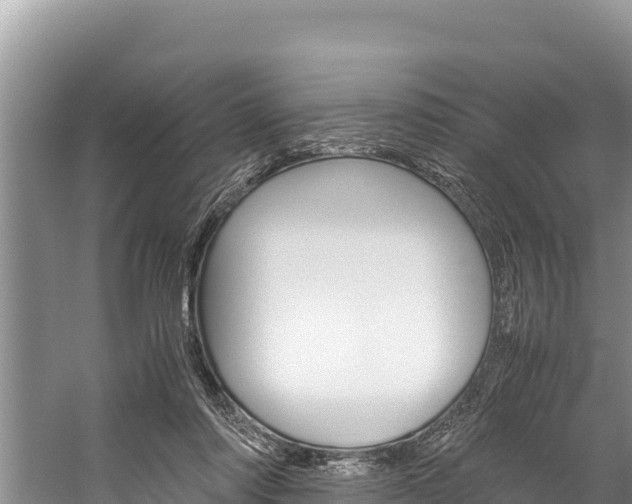 X0000059830310200510211029