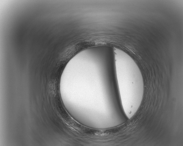 X0000059830311200510211029