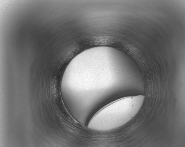 X0000059830312200510211029