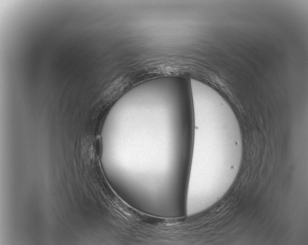 X0000059830313200510211028