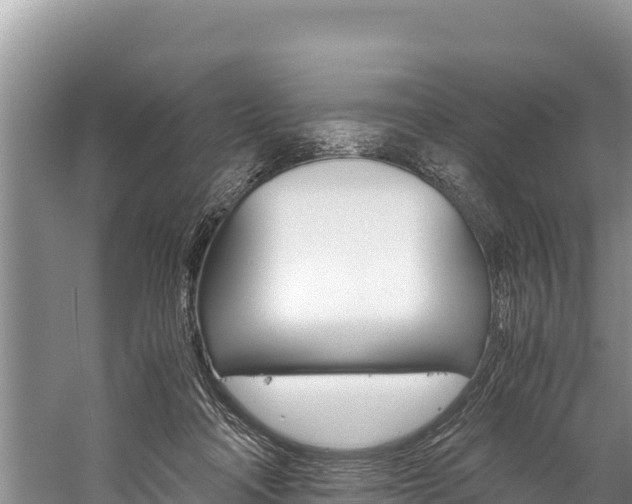 X0000059830314200510211028