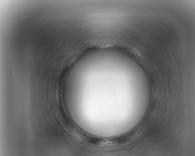 X0000059830315200510211028