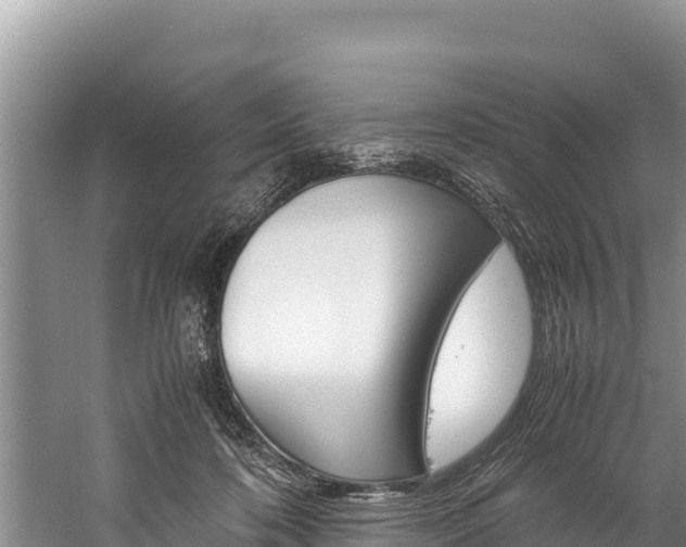 X0000059830316200510211028