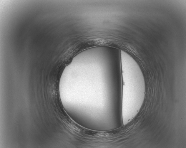 X0000059830317200510211028