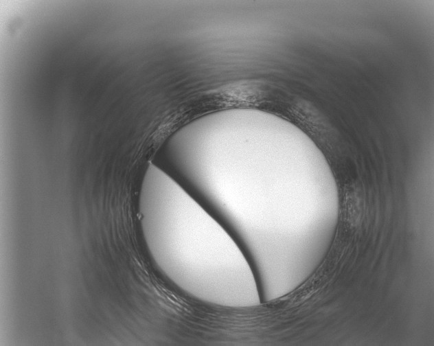 X0000059830318200510211028