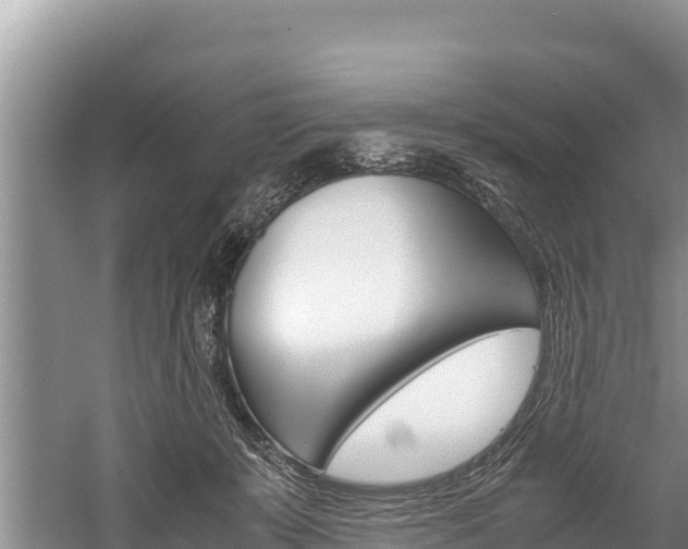 X0000059830319200510211028