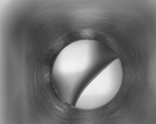 X0000059830320200510211028