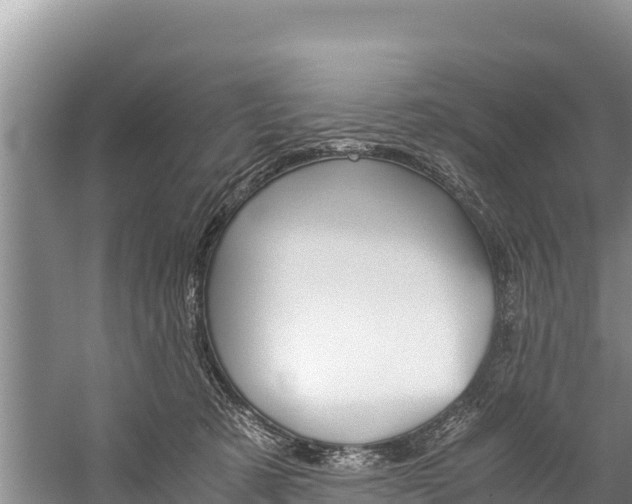 X0000059830321200510211028