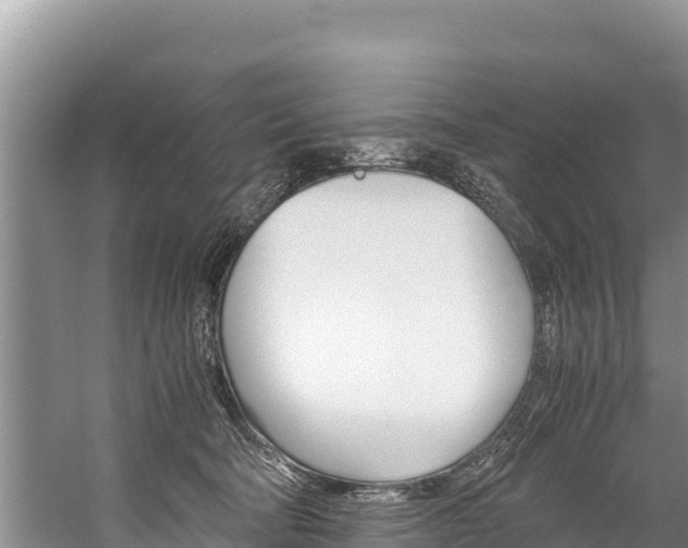 X0000059830322200510211028