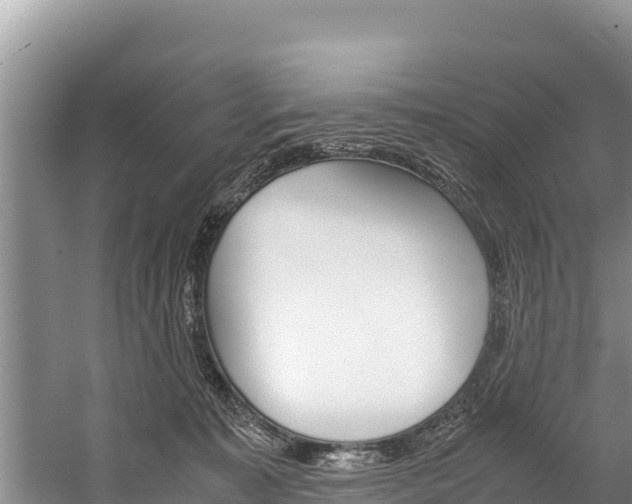 X0000059830323200510211028