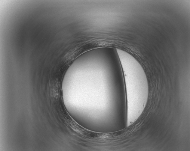 X0000059830325200510211028