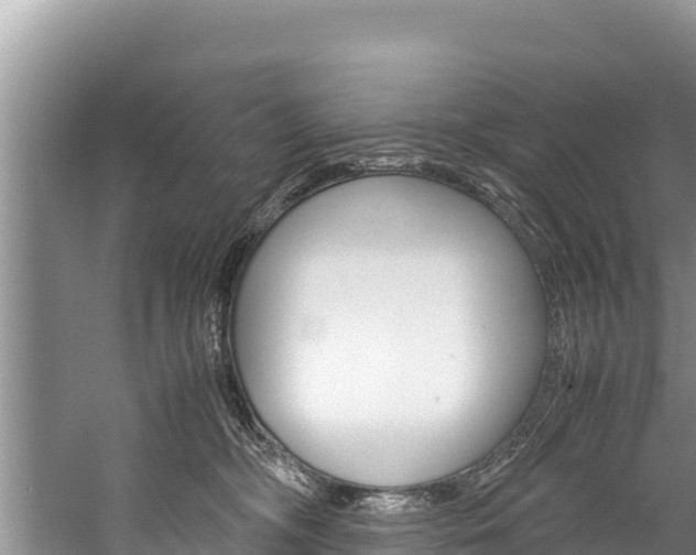 X0000059830326200510211028