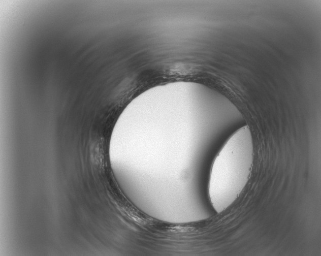 X0000059830328200510211028