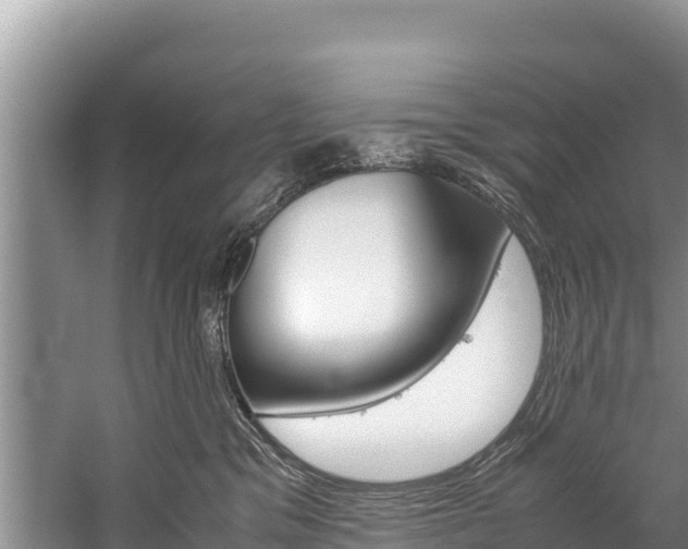 X0000059830329200510211028