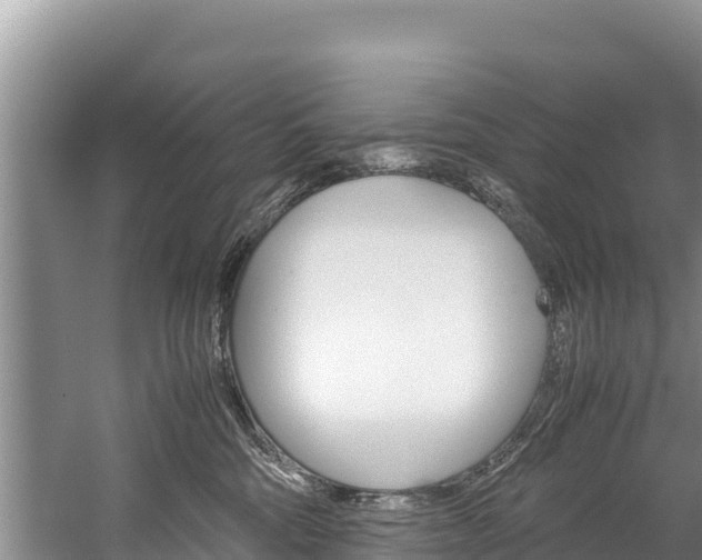 X0000059830330200510211028