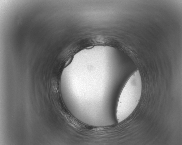 X0000059830331200510211028